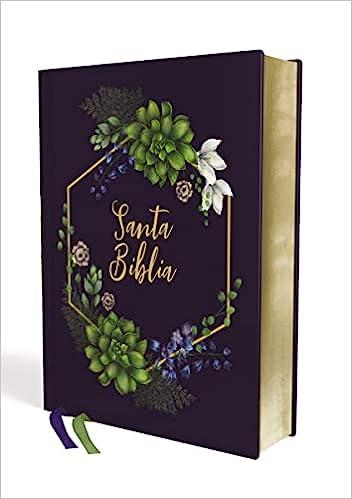 Biblia NVI Edicion artistica